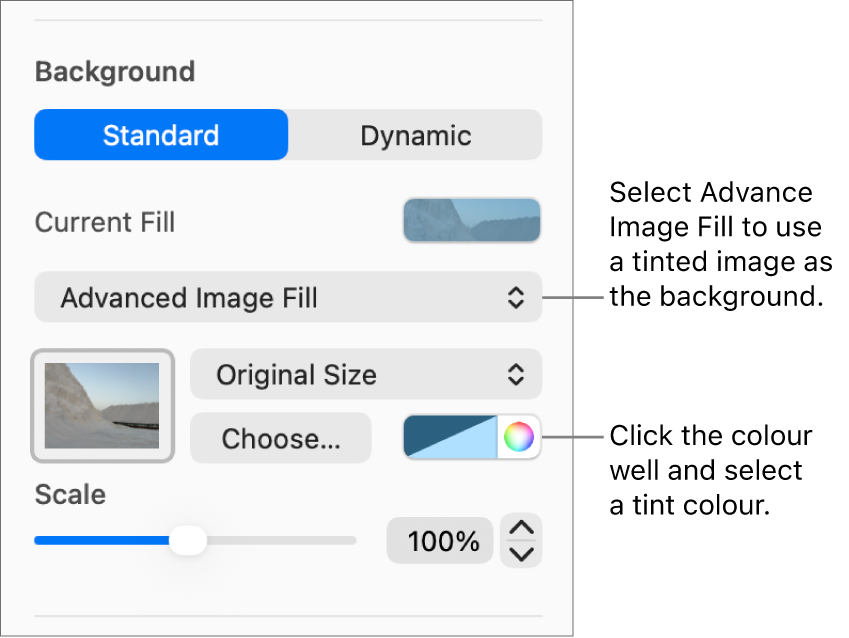 The Background controls with a tinted Advanced Image Fill set as the slide background.