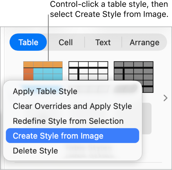 The table style shortcut menu.