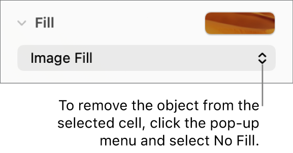 The control for removing an object from the selected cell.