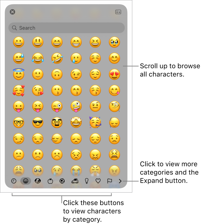 The Special Characters pop-up showing emoticons, buttons for different types of symbols at the bottom and a call out to a button to show the full Characters window.