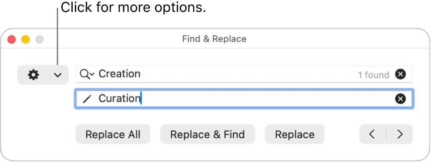 The Find & Replace window with a callout to the pop-up menu that shows more options.