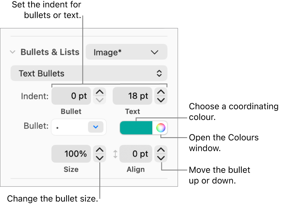 The Bullets & Lists section with callouts to the controls for bullet and text indent, bullet colour, bullet size and alignment.