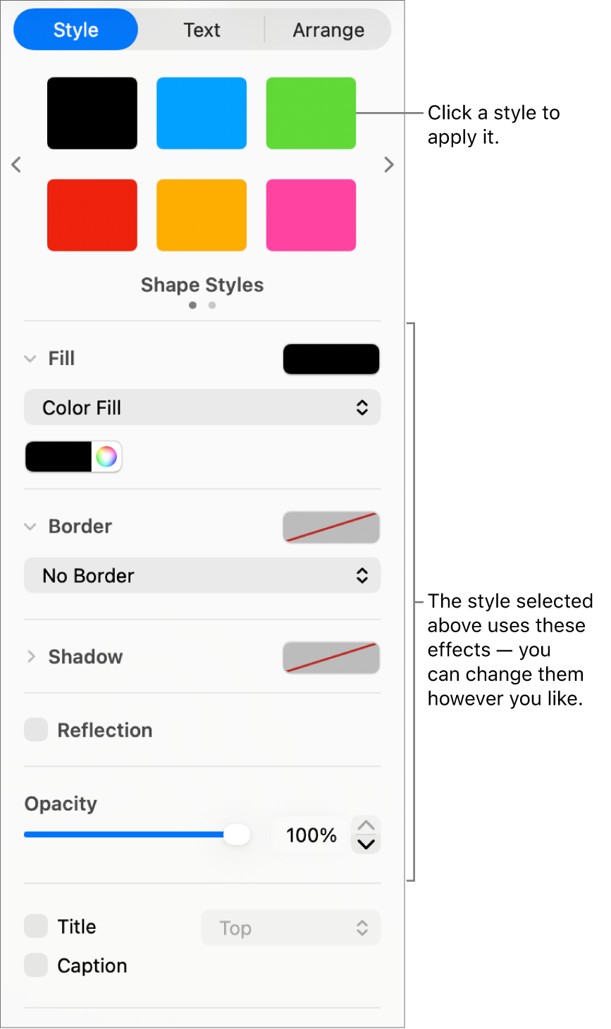 Shape styles and options in the Format section of the sidebar.