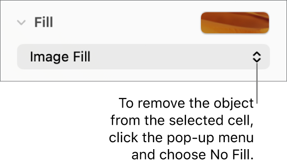 The control for removing an object from the selected cell.