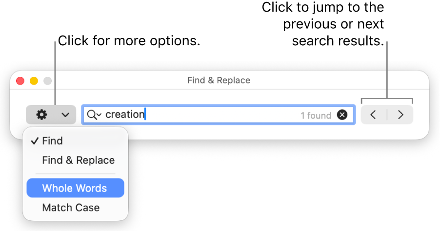 The Find & Replace window with the pop-up menu showing options for Find, Find & Replace, Whole Words and Match Case. The arrows on the right let you jump to the previous or next search results.