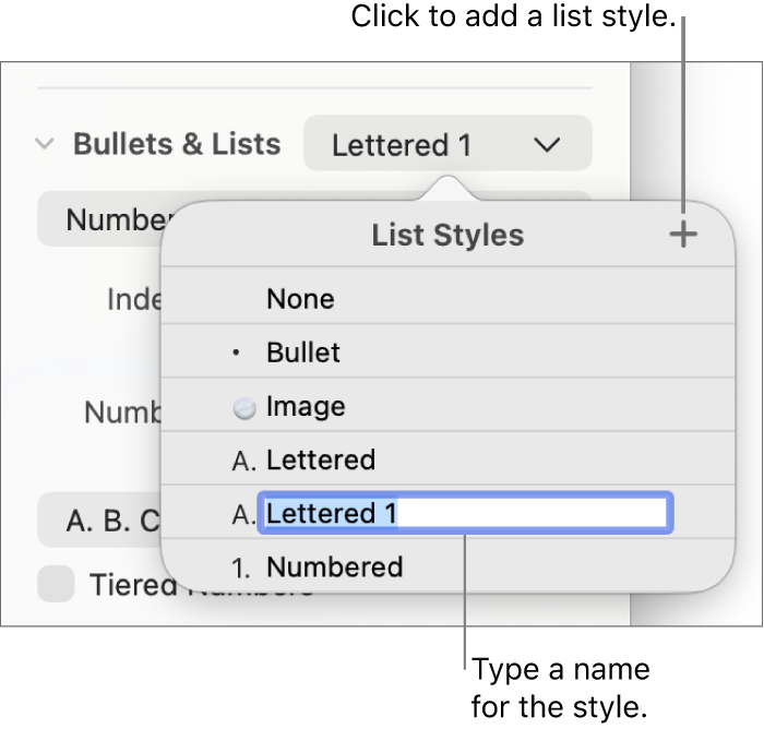 The List Styles pop-up menu with an Add button in the top-right corner and a placeholder style name with its text selected.
