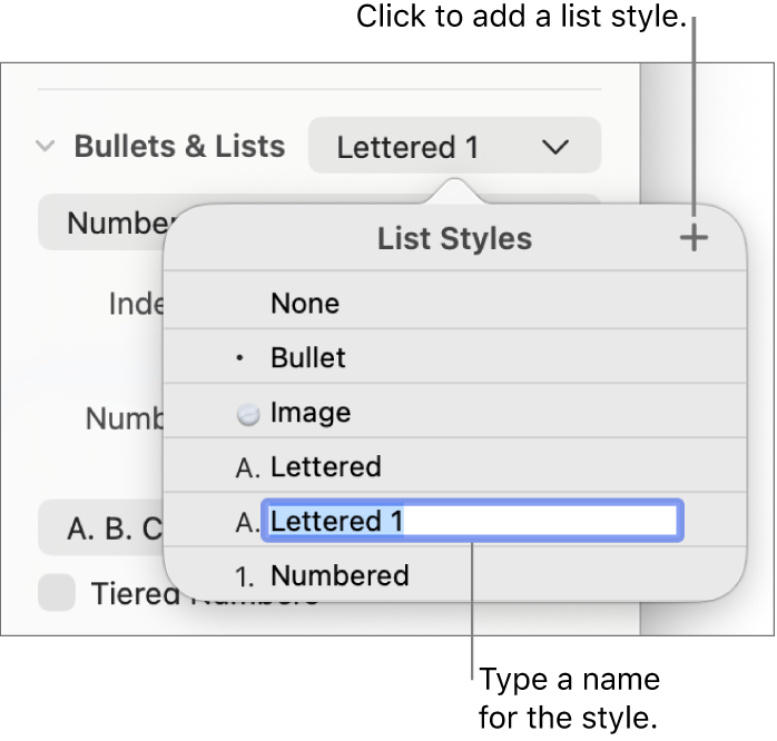 The List Styles pop-up menu with an Add button in the top-right corner and a placeholder style name with its text selected.