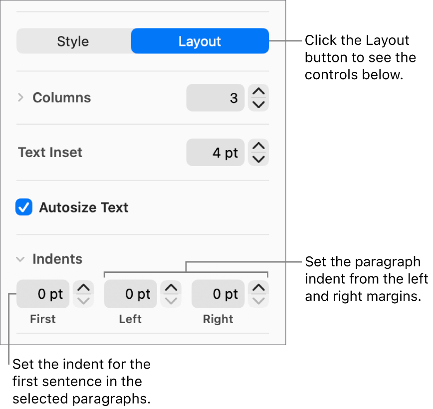 The Layout section of the Format sidebar showing controls for setting the first line indent and paragraph margins.