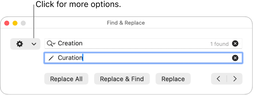 The Find & Replace window with a callout to the pop-up menu that shows more options.