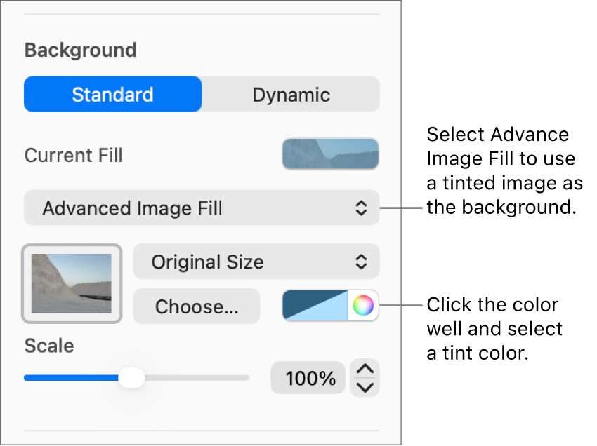 The Background controls with a tinted Advanced Image Fill set as the slide background.