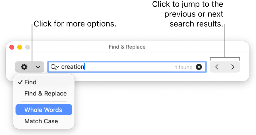 The Find & Replace window with the pop-up menu showing options for Find, Find & Replace, Whole Words, and Match Case. The arrows on the right let you jump to the previous or next search results.