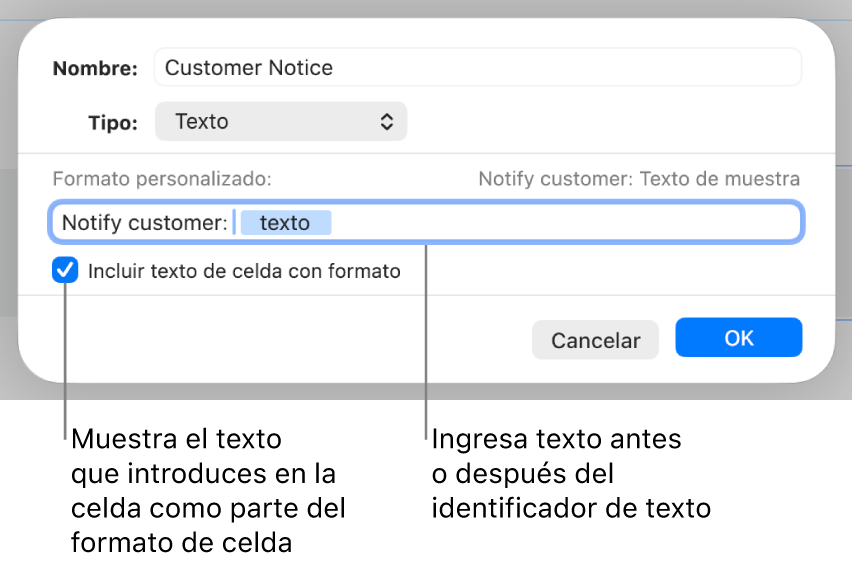 Formato de celda de texto personalizada.