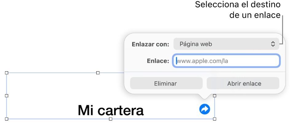 Los controles del editor de enlaces con la opción Página Web seleccionada, con el botón Eliminar y el botón Abrir enlace en la parte de abajo.