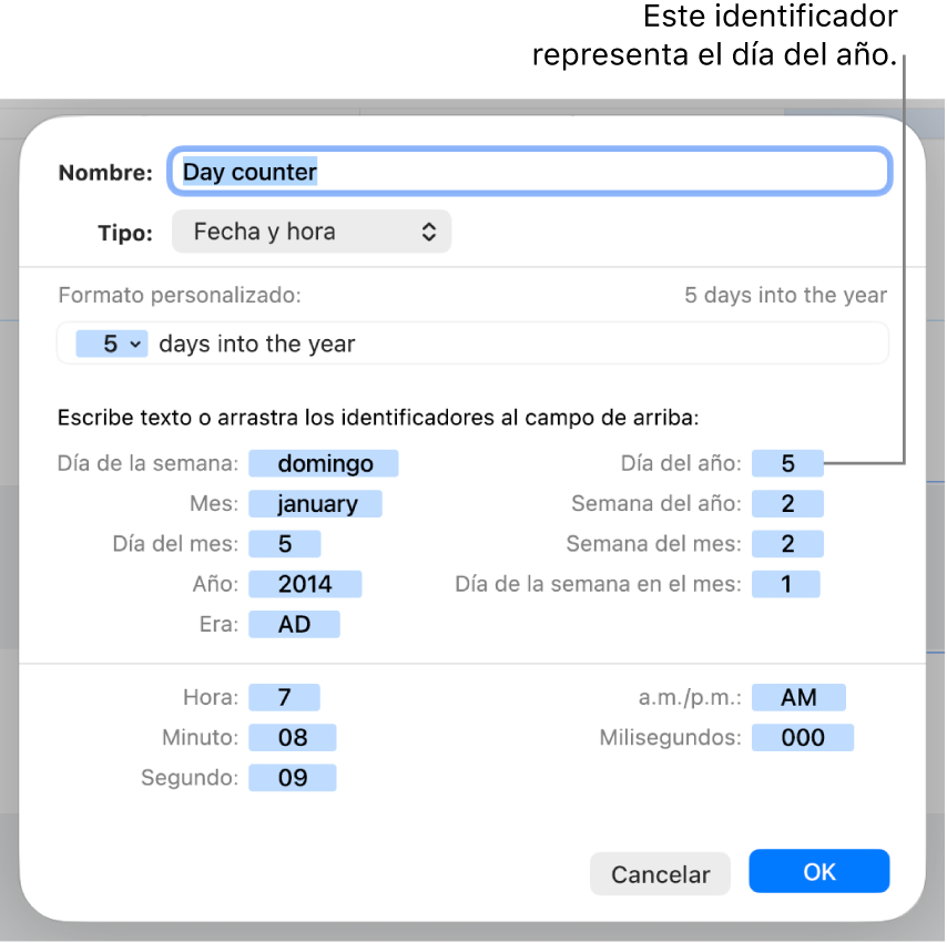 Ventana de formato de celda personalizado con controles para crear un formato de fecha y hora personalizado.