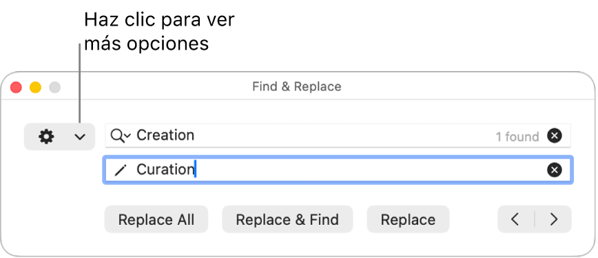 La ventana “Buscar y reemplazar” con una llamada al menú desplegable que muestra más opciones.