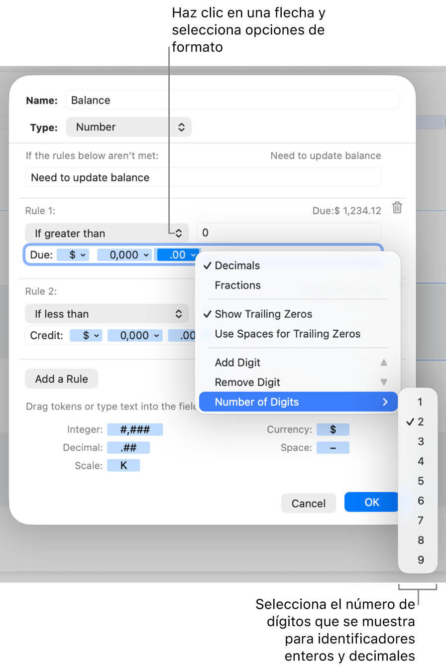 Ventana de formato de celda personalizado con controles para crear un formato numérico personalizado.