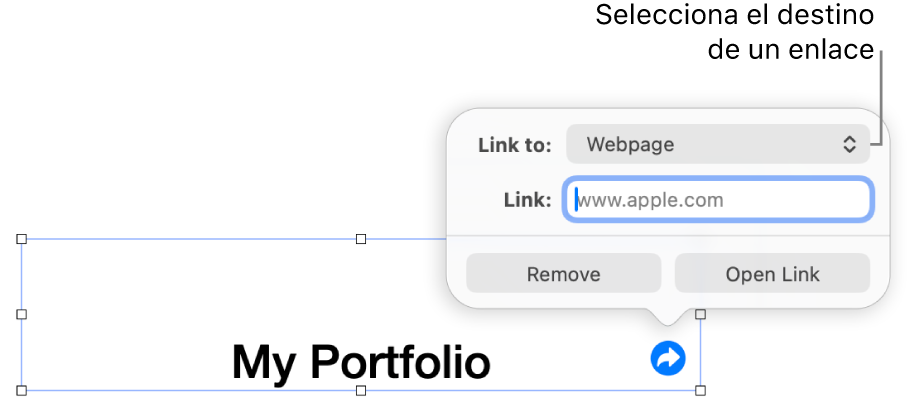 Controles del editor de enlaces con la opción “Página web” seleccionada y los botones Eliminar y “Abrir enlace” en la parte inferior.
