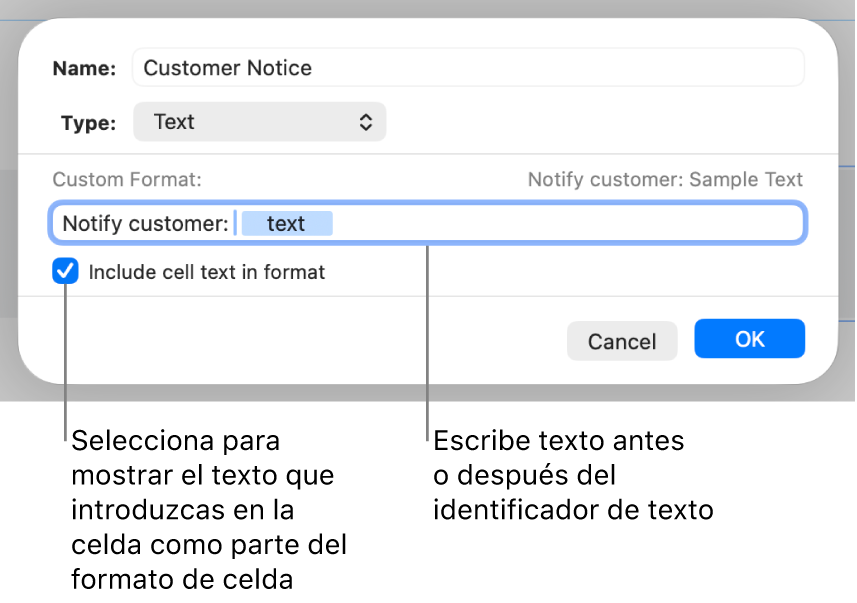 Formato de celda de texto personalizada.