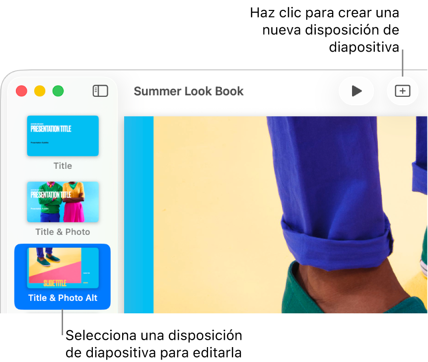 Una disposición de diapositiva en el área de disposición de la diapositiva con el botón “Añadir diapositiva” sobre ella en la barra de herramientas.