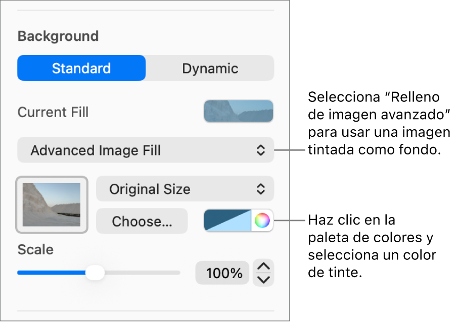 Los controles de Fondo con la opción “Relleno de imagen avanzado” establecida como el fondo de la diapositiva.