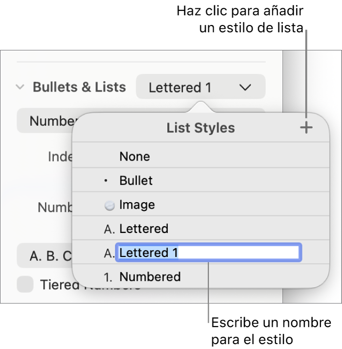 El menú desplegable “Estilos de lista” con el botón Añadir en la esquina superior derecha y un marcador de posición de nombre de estilo con su texto seleccionado.