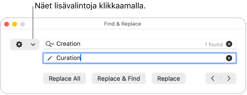 Etsi ja korvaa -ikkuna ja selite ponnahdusvalikolle, jossa näytetään enemmän valintoja.