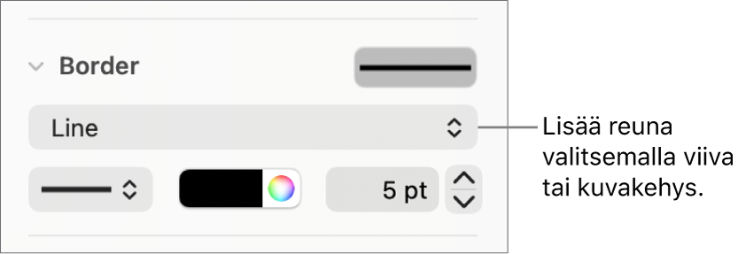 Reunatyyli-säätimet Muoto-sivupalkissa, ja Viiva on valittuna reunatyypiksi.