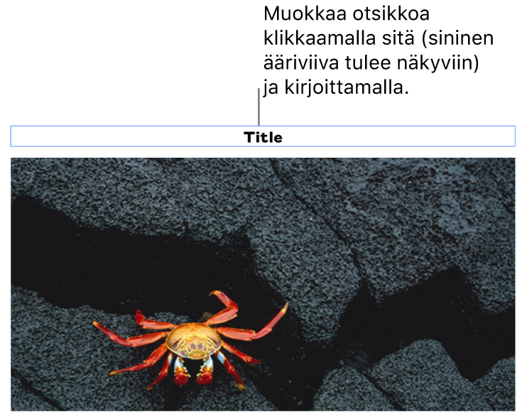 Paikanvaraajaotsikko ”Otsikko” näkyy kuvan alla, siniset ääriviivat otsikkokentän ympärillä osoittavat, että se on valittuna.