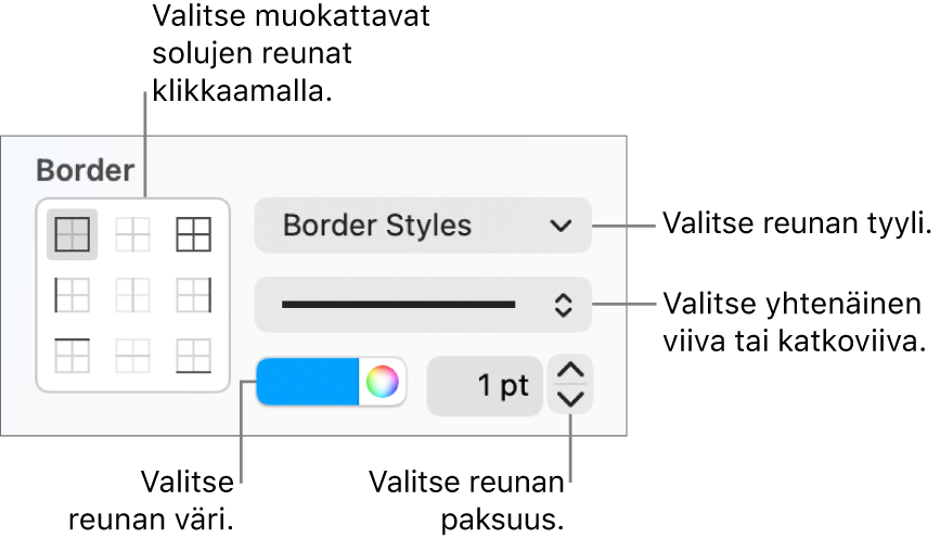 Sivupalkkisäätimet solun reunojen ulkoasun muuttamiseen.