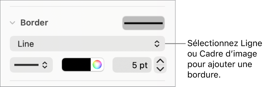 Les commandes Style de bordure dans la barre latérale Format avec « Ligne » réglée comme type de bordure.
