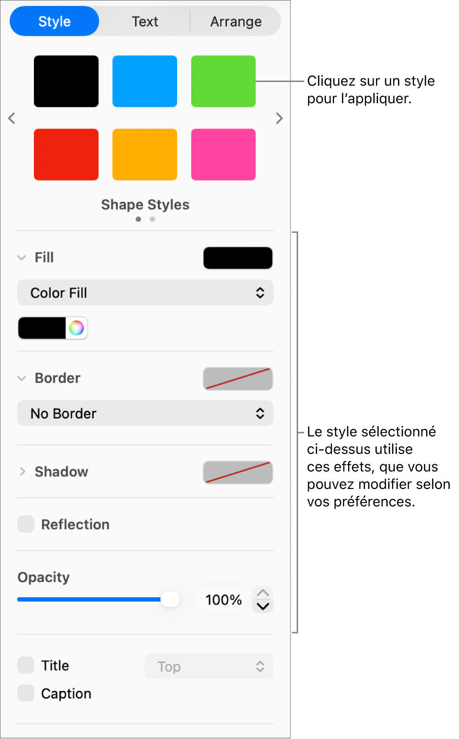 Styles et options de forme de la section Format de la barre latérale.