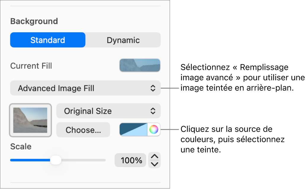 Les commandes Arrière-plan avec un remplissage image avancé teinté pour l’arrière-plan des diapositives.
