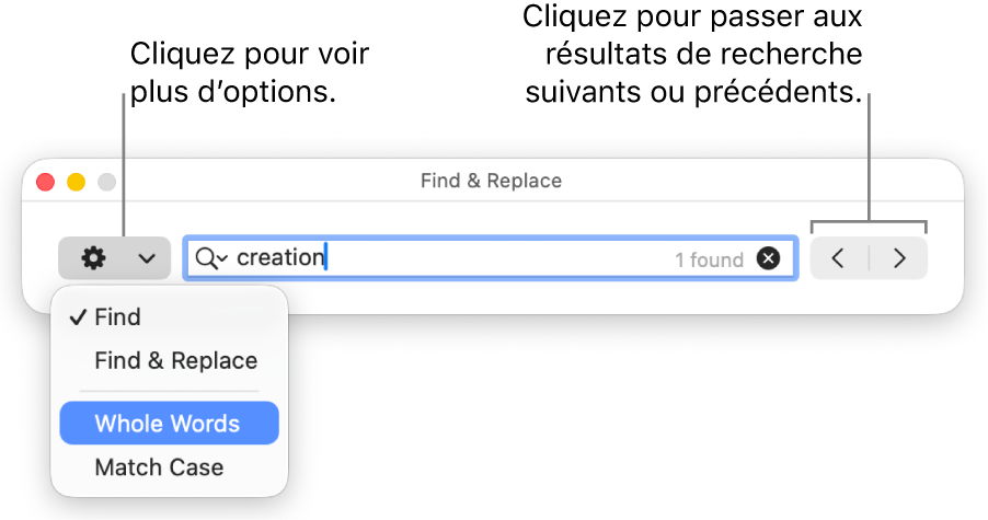 La fenêtre Rechercher et remplacer avec le menu contextuel qui affiche les options Rechercher, Rechercher et remplacer, Mots entiers et Respecter la casse. Les flèches situées à droite vous permettent d’accéder directement aux résultats de recherche précédents ou suivants.