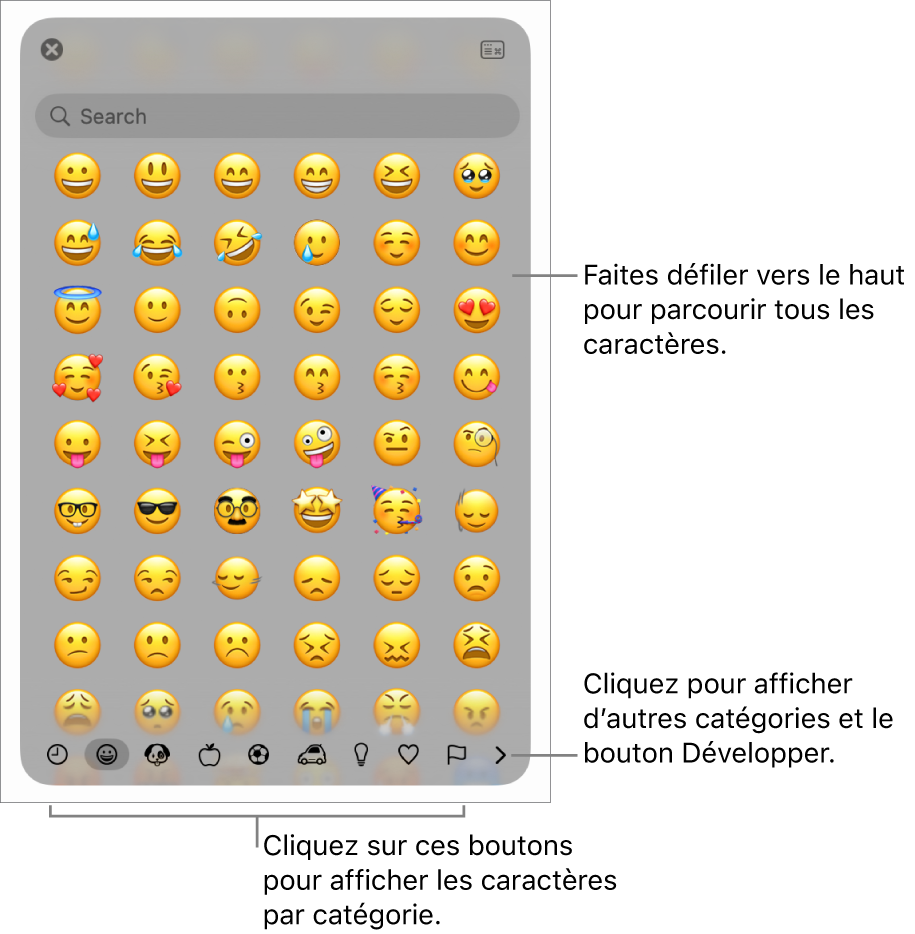 Le menu contextuel Caractères spéciaux affichant des émoticônes, les boutons de différents types de symboles en bas de la fenêtre et la légende d’un bouton pour afficher toute la fenêtre des caractères.