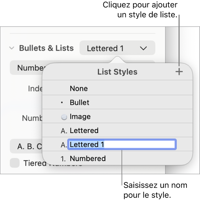 Menu contextuel Styles de liste avec un bouton Ajouter dans le coin supérieur et un nom de style de paramètre fictif dont le texte est sélectionné.