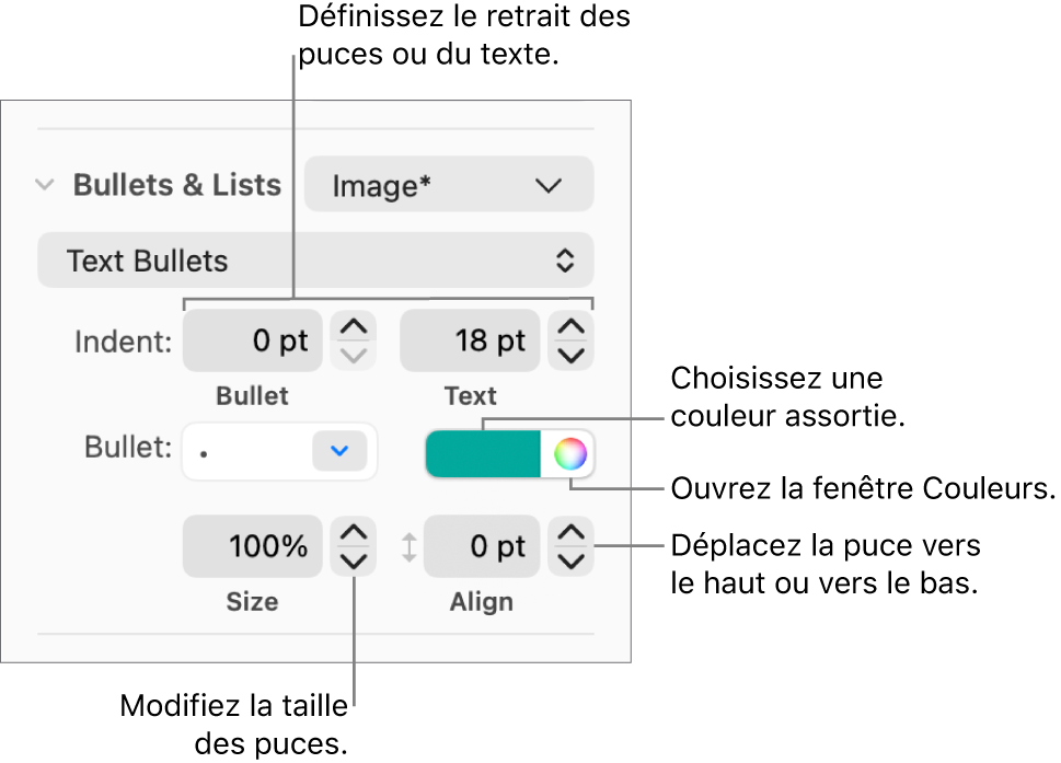 Section Puces et listes accompagnée des légendes des commandes pour le retrait des puces et du texte, la couleur des puces, leur taille et leur alignement.
