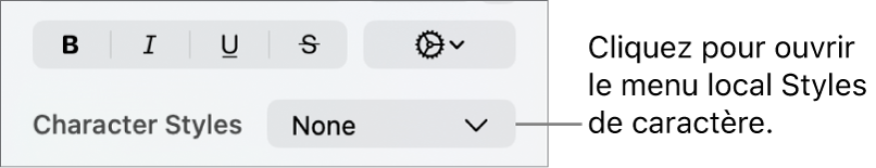 Menu contextuel Styles de caractère sous les commandes de modification de la couleur et du style de texte.