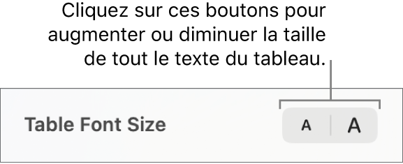 Commandes de la barre latérale permettant de modifier la taille de la police du tableau.
