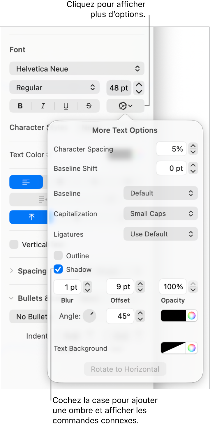 Les Options avancées s’ouvrent avec la case Ombre cochée et les commandes pour définir les réglages de flou, de décalage, d’opacité, d’angle et de couleur.