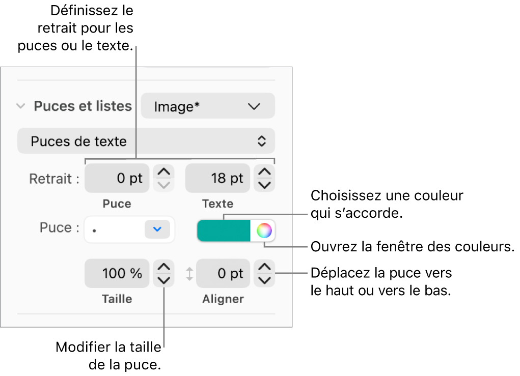 Section Puces et listes accompagnée des légendes des commandes pour le retrait des puces et du texte, la couleur des puces, leur taille et leur alignement.
