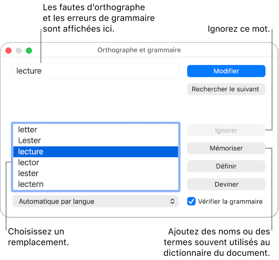 La fenêtre Orthographe et grammaire.