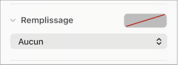 Les commandes Remplissage avec l’option Aucun remplissage sélectionnée.