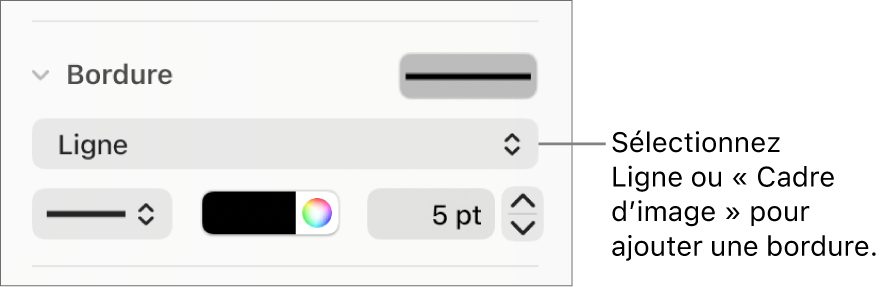 Les commandes de style de bordure dans la barre latérale Format avec l’option Ligne sélectionnée comme type de bordure.