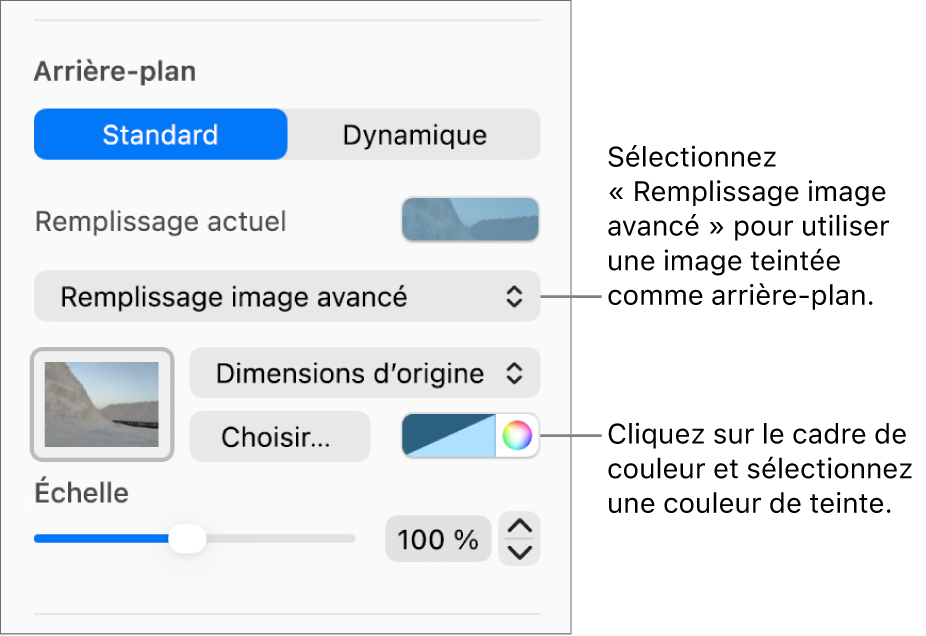Les commandes Arrière-plan avec une image teintée de type Remplissage image avancé définie comme arrière-plan de la diapositive.