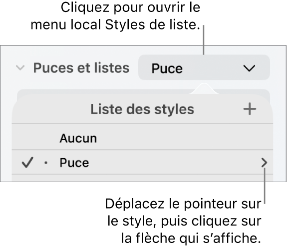 Le menu local Liste des styles avec un style sélectionné et une flèche à sa droite.