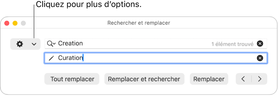 La fenêtre Rechercher et remplacer accompagnée d’une légende pour le menu local permettant d’afficher plus d’options.