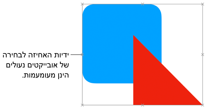 אובייקטים נעולים עם ידיות בחירה מעומעמות.