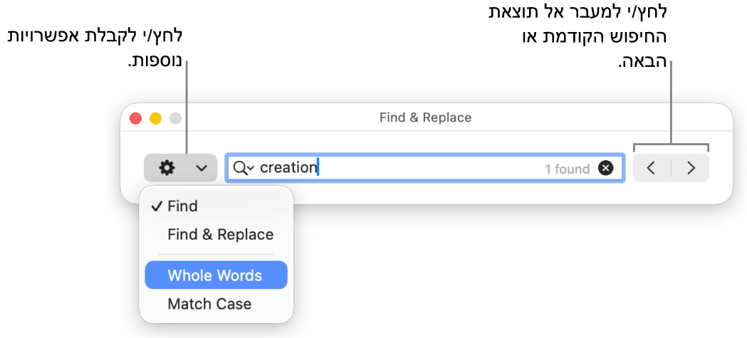 החלון ״חפש והחלף״ עם התפריט הקופצני שמציג את האפשרויות ״חפש״, ״חפש והחלף״, ״מילים שלמות״ ו״התאם אותיות גדולות״. החיצים בצד מאפשרים לך לדלג אל תוצאות החיפוש הקודמות או הבאות.