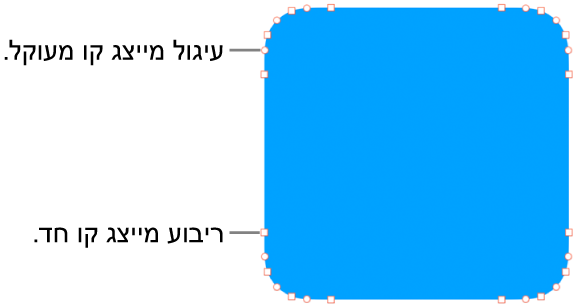 צורה עם נקודות ניתנות לעריכה.