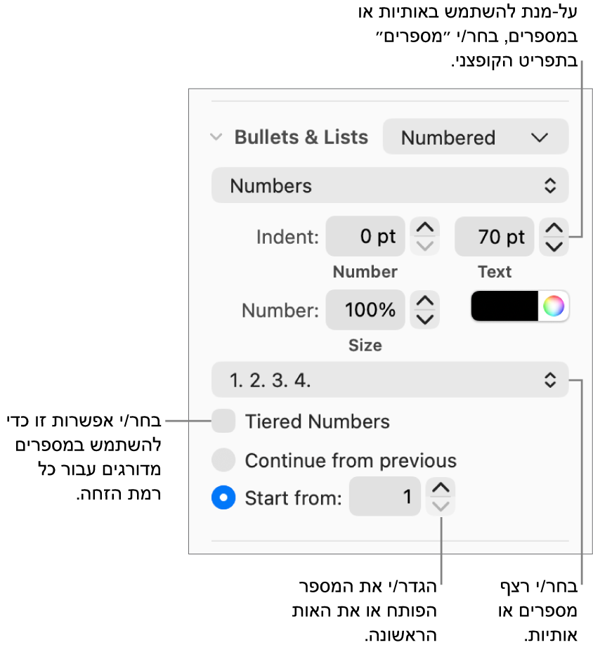 כלי בקרה לשינוי סגנון המספרים והמרווחים ברשימה.
